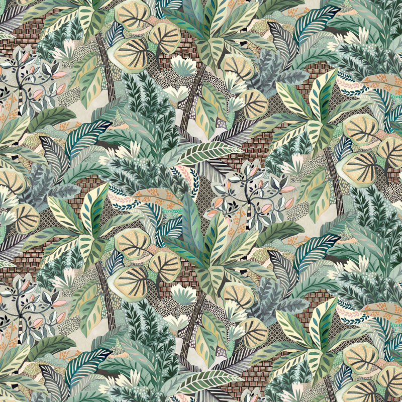 Maranta - F7446-02