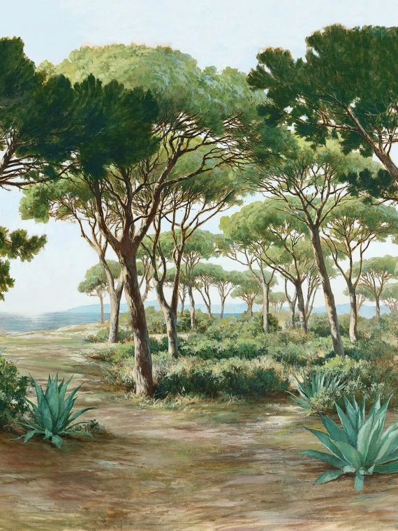 L'Esterel - F3728-001