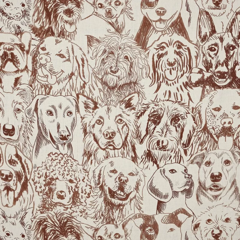 Designer dog - F3552-002