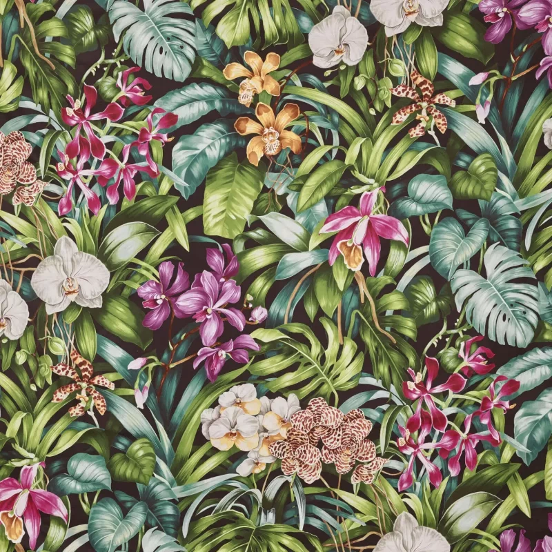 Jardin Botanique - F3389-002