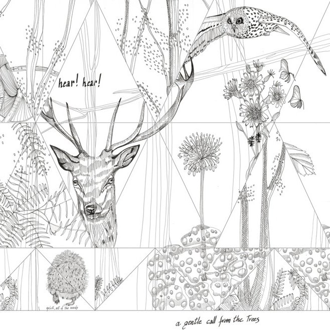 WOODLAND - WDWO1502